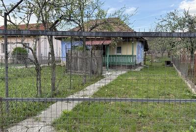 Spațiu comercial, în Sălătrucel - 4