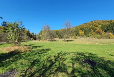 Teren agricol extravilan de 9000 mp, în Babarunca - 8