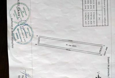 Teren de 1290 mp, în Măgurele