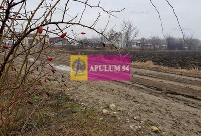 Teren Construcții intravilan de 13705 mp, în 1 Decembrie - 4
