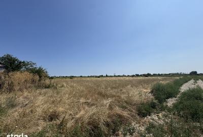 Teren de 1350 mp, în Oarja