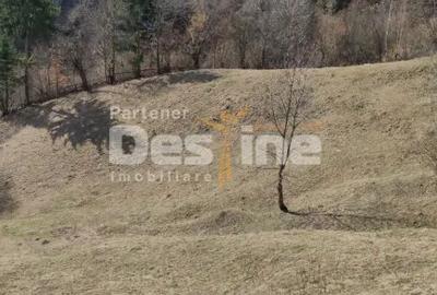 Teren de 5000 mp, în Rucăr