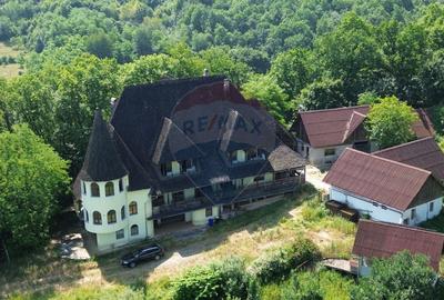 Casă cu 10 camere cu Teren 24700 Mp în Berchezoaia - 2