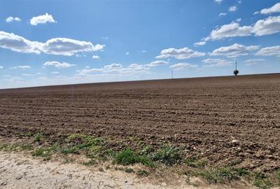 Teren intravilan de 13000 mp, în Periferie