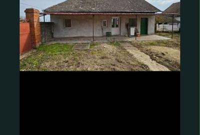 Casă cu 4 camere în Vânători - 2