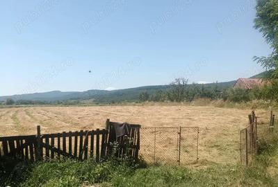 Teren de 5400 mp, în Bacea