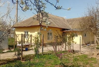 Casă cu 6 camere cu Teren 1500 Mp în Turda - 4