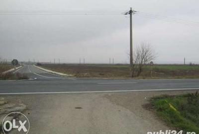 Teren de 15000 mp, în Tișița - 5