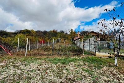 Teren de 1157 mp, în Oncea