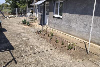 Casă cu 4 camere în Deta