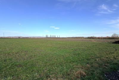 Teren de 15000 mp, în Prejmer - 2