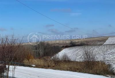 Teren de 10800 mp, în Horlești - 4