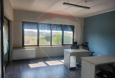 Birou, de 40 mp, în Nufărul - 8