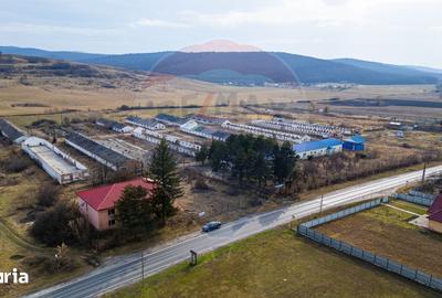 Teren de 39600 mp, în Traian - 2