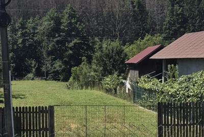Teren de 1640 mp, în Băbana