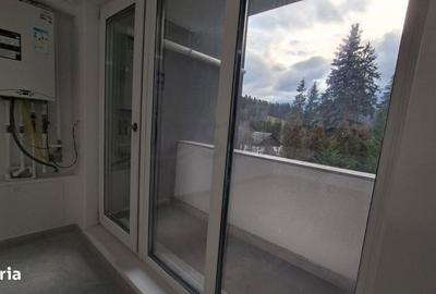 Apartament cu 2 camere în Clăbucet - 11