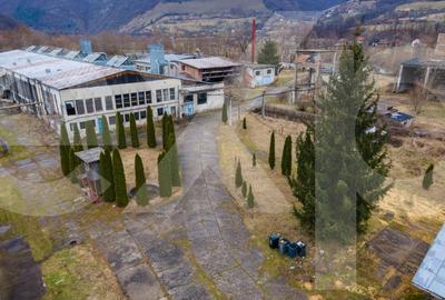 Spațiu industrial, de 5,000 mp, în Bucea - 2