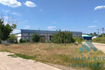 Spațiu industrial, de 1,000 mp, în Sud - 6