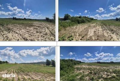 Teren de 1100 mp, în Grajduri - 11