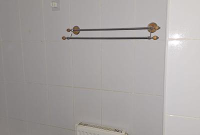 Apartament cu 3 camere decomandat în Popa Șapcă - 10