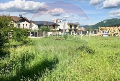 Teren Construcții intravilan de 1000 mp, în Cristian - 8