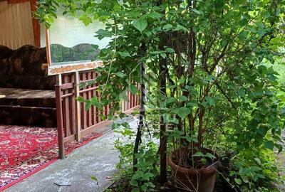 Casă cu 3 camere cu Teren 497 Mp în Freidorf