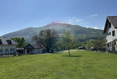 Teren de 3606 mp, în Pângărați