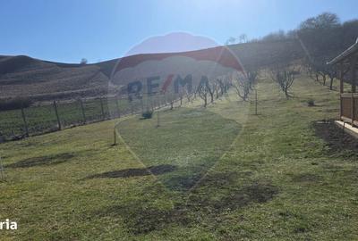 Teren de 2900 mp, în Blăjel - 3