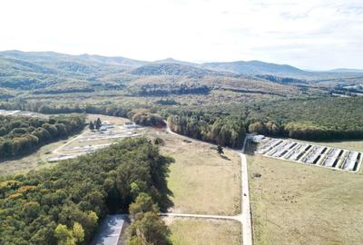 Teren Construcții intravilan de 186000 mp, în Exterior Vest - 7