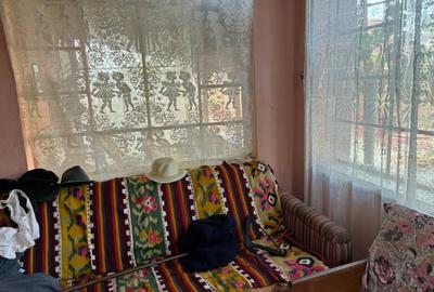 Casă individuală cu 3 camere cu Teren 1500 Mp în Bucovăț (Remetea Mare) - 2