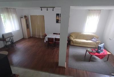 Casă cu Teren 1680 Mp în Govăjdia - 4