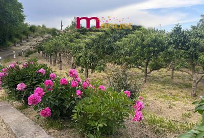 Teren agricol intravilan de 2800 mp, în Nord-Vest - 5