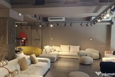 Spațiu comercial, de 175 mp, în Floreasca