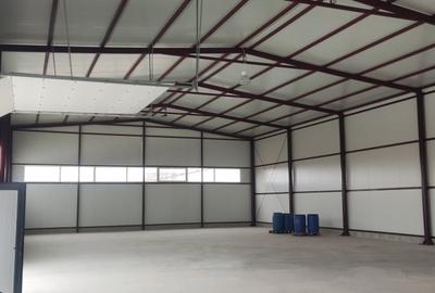 Spațiu industrial, de 490 mp, în Est - 6