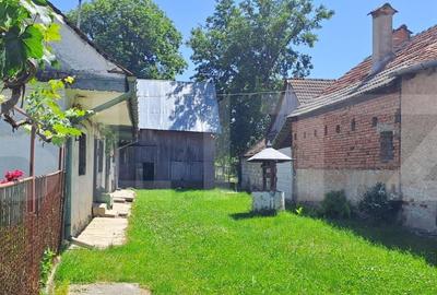 Casă cu 2 camere cu Teren 3000 Mp în Hârseni - 2