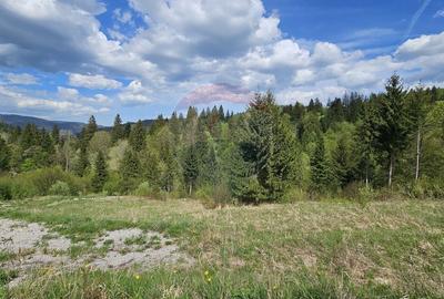 Teren agricol intravilan de 4048 mp, în Periferie - 7