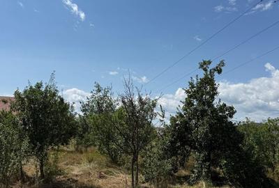 Teren de 1072 mp, în Valea Borcutului