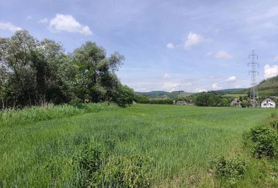 Teren de 1523 mp, în Vultureni - 2