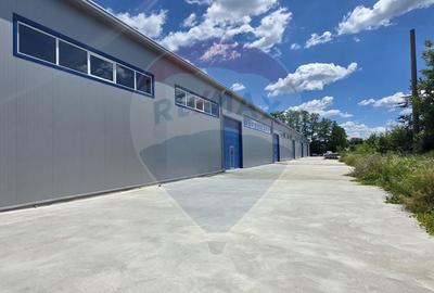 Spațiu industrial, de 9,618 mp, în Central - 13