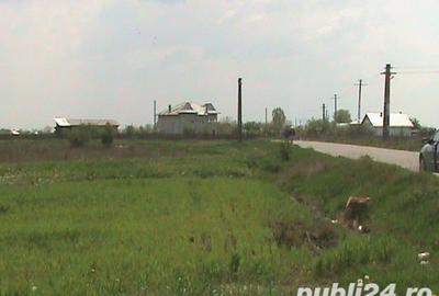 Teren de 3636 mp, în Oarja - 3