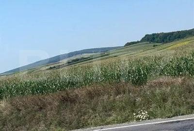 Teren de 17300 mp, în Bartolomeu - 2