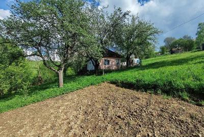 Casă cu Teren 4000 Mp în Hărman - 5