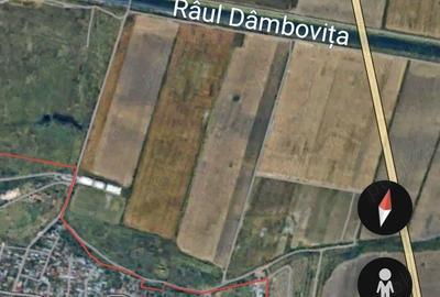 Teren de 5000 mp, în Glina - 5