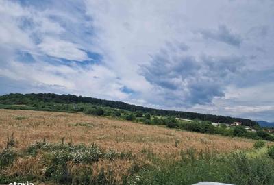 Teren de 5981 mp, în Bârsău - 6