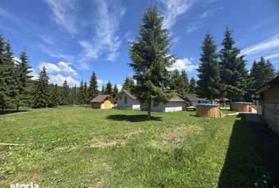 Teren de 9550 mp, în Dorna Candrenilor