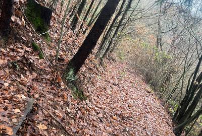 Teren de 20000 mp, în Brusturi