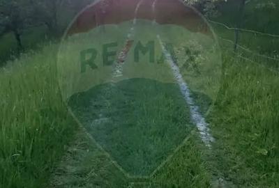 Teren de 1046 mp, în Valea Borcutului