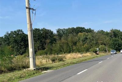 Teren de 1143 mp, în Sânmartin - 11