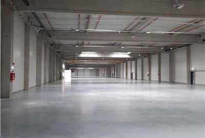 Spațiu industrial, de 4,500 mp, în Jucu