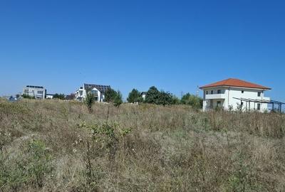 Teren de 8500 mp, în Viile Noi